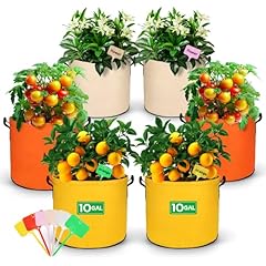 Gallon plant grow for sale  Delivered anywhere in USA 