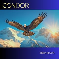 Condor usato  Spedito ovunque in Italia 