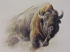 Robert bateman bison for sale  Delivered anywhere in USA 