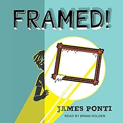 Framed framed series for sale  Delivered anywhere in USA 