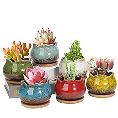 Laerjin succulent pots for sale  Delivered anywhere in USA 