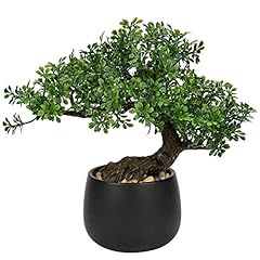 Artificial bonsai tree for sale  Delivered anywhere in UK