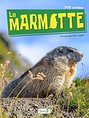 Marmotte nouvelle edition d'occasion  Livré partout en France