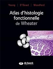 Atlas histologie fonctionnelle d'occasion  Livré partout en Belgiqu