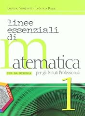Linee essenziali matematica usato  Spedito ovunque in Italia 