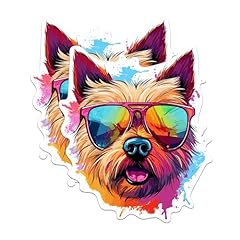 Norwich terrier dog for sale  Delivered anywhere in USA 