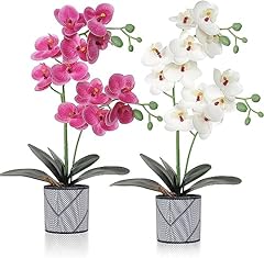 vase orchidee d'occasion  Livré partout en France