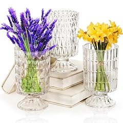 Goaste pack embossed for sale  Delivered anywhere in USA 