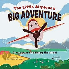 The little airplane for sale  Delivered anywhere in USA 