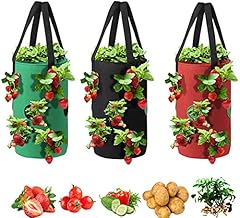 Souilgoal upside tomato for sale  Delivered anywhere in USA 