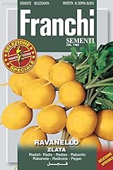 Franchi seeds italy for sale  Delivered anywhere in UK