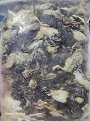Frozen whole quail for sale  Delivered anywhere in USA 