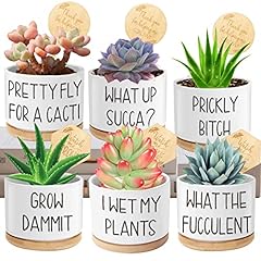 Succulent pots pack for sale  Delivered anywhere in USA 
