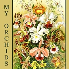 Orchids orchid inventory for sale  Delivered anywhere in USA 