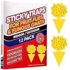 12pcs fruit fly for sale  Delivered anywhere in UK