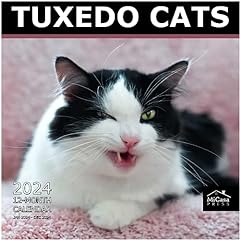 Micasa tuxedo cats for sale  Delivered anywhere in UK