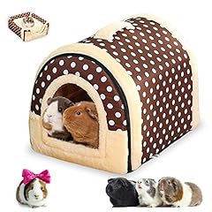 Tuakimce guinea pig for sale  Delivered anywhere in UK