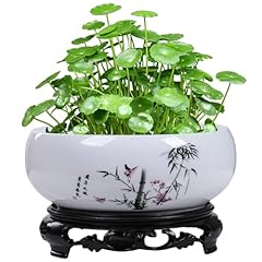 Lotus bowls planting for sale  Delivered anywhere in UK