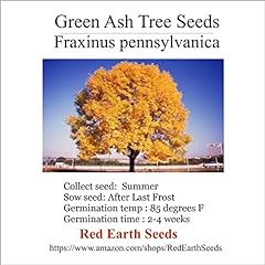Green ash tree for sale  Delivered anywhere in USA 