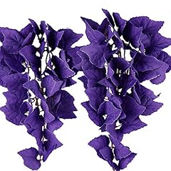 Fivebull reptile plants for sale  Delivered anywhere in USA 