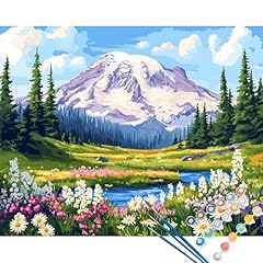 Mount rainier national for sale  Delivered anywhere in USA 