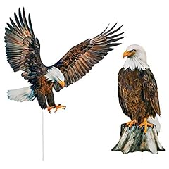 Collections etc bald for sale  Delivered anywhere in USA 