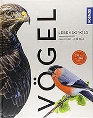Vögel lebensgroß gebraucht kaufen  Wird an jeden Ort in Deutschland