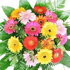 Bunter blumenstrauß bunte gebraucht kaufen  Wird an jeden Ort in Deutschland