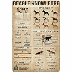 Beagle knowledge metal d'occasion  Livré partout en France