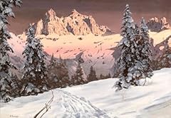 11ct nelle dolomiti usato  Spedito ovunque in Italia 
