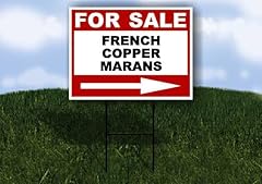 French copper marans for sale  Delivered anywhere in USA 