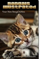 Bengals illustrated new for sale  Delivered anywhere in USA 