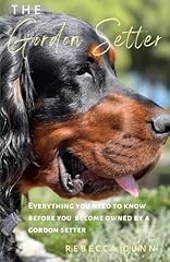 Gordon setter everything for sale  Delivered anywhere in USA 