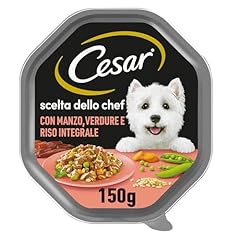 Cesar scelta dello usato  Spedito ovunque in Italia 