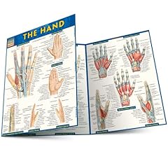 Hand for sale  Delivered anywhere in USA 