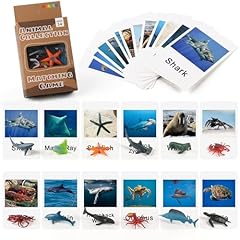 Meroco montessori animal for sale  Delivered anywhere in USA 