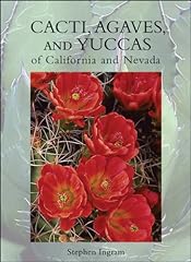 Cacti agaves yuccas for sale  Delivered anywhere in USA 