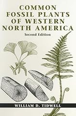 Common fossil plants for sale  Delivered anywhere in USA 