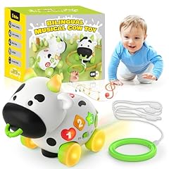 Bilingual musical cow for sale  Delivered anywhere in USA 