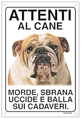 Bulldog inglese attenti usato  Spedito ovunque in Italia 