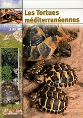 Tortues méditerranéennes d'occasion  Livré partout en France