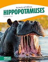Hippopotamuses d'occasion  Livré partout en France
