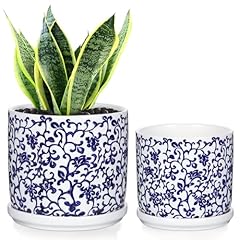 Set blue white for sale  Delivered anywhere in USA 