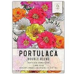 Seed needs portulaca for sale  Delivered anywhere in USA 