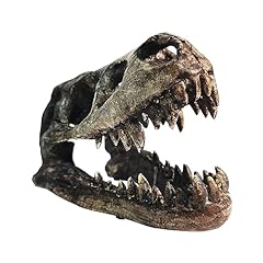 Ptosziav dinosaur skull for sale  Delivered anywhere in USA 