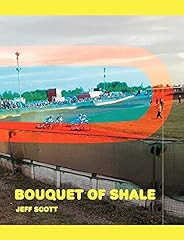 Bouquet shale d'occasion  Livré partout en Belgiqu
