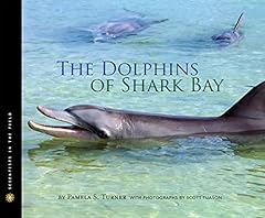 Dolphins shark bay for sale  Delivered anywhere in USA 