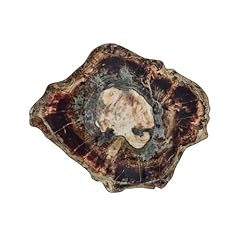 Kim seybert fossil for sale  Delivered anywhere in USA 