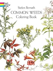 Common weeds coloring for sale  Delivered anywhere in USA 