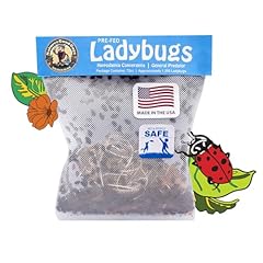750 live ladybugs for sale  Delivered anywhere in USA 